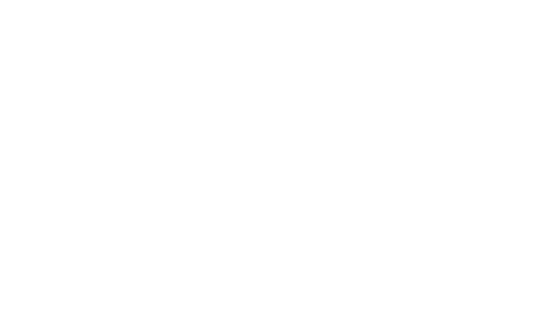 White, small buckle strap icon representing one of the car attachments included with the Roadie Pro.